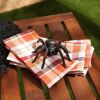 Accent Plus Cast Iron Tarantula Spider Figurine or Paperweight