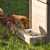 39.4' Wooden Dog House Puppy Shelter Kennel Outdoor & Indoor Dog crate, with Flower Stand, Plant Stand, With Wood Feeder