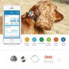 PETKIT P2 Smart Activity Monitoring Pet Tracker