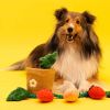 dog vocalization interactive hidden toys