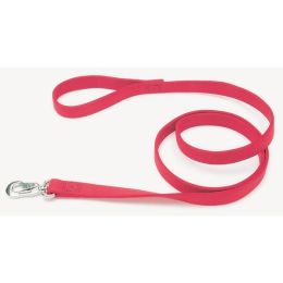 Coastal Double-Ply Nylon Dog Leash Red 1 in x 6 ft