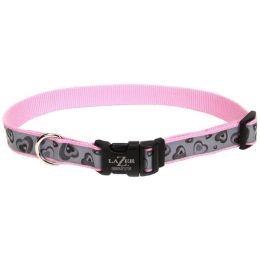 Lazer Brite Reflective Adjustable Dog Collar Turquoise 5-8 in x 12-18 in