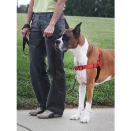 PetSafe Deluxe Easy Walk Steel Dog Harness Black; Rose Medium-Large